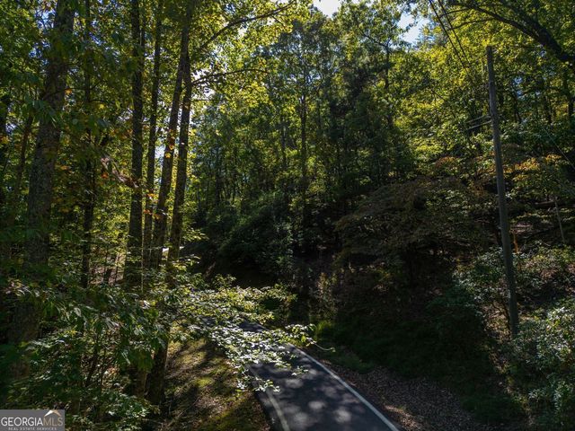0 Little Hendricks Mountain Road, Jasper, GA 30143