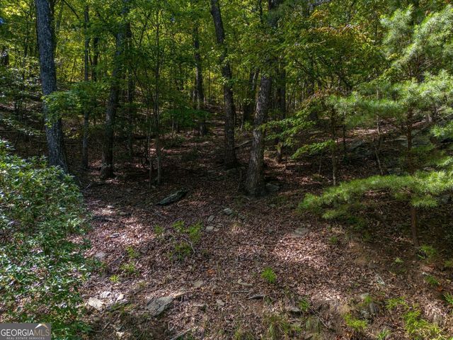 0 Little Hendricks Mountain Road, Jasper, GA 30143
