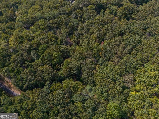 0 Little Hendricks Mountain Road, Jasper, GA 30143