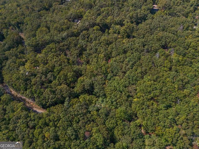 0 Little Hendricks Mountain Road, Jasper, GA 30143