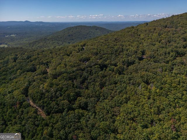 0 Little Hendricks Mountain Road, Jasper, GA 30143