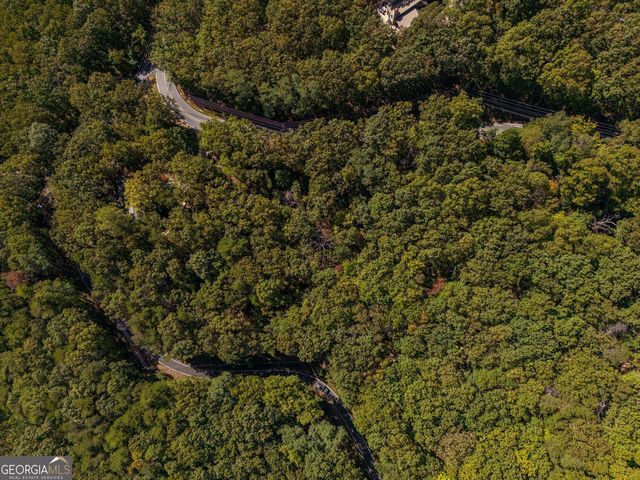 0 Little Hendricks Mountain Road, Jasper, GA 30143