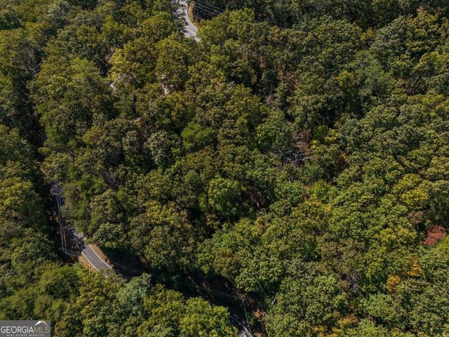0 Little Hendricks Mountain Road, Jasper, GA 30143