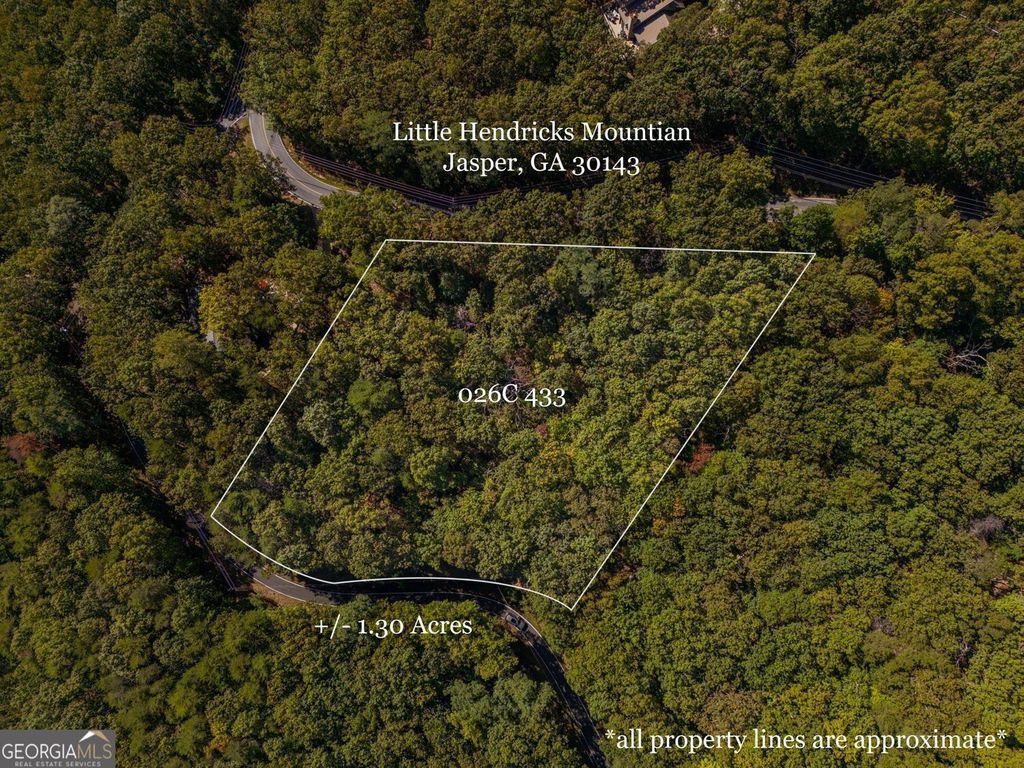 0 Little Hendricks Mountain Road, Jasper, GA 30143