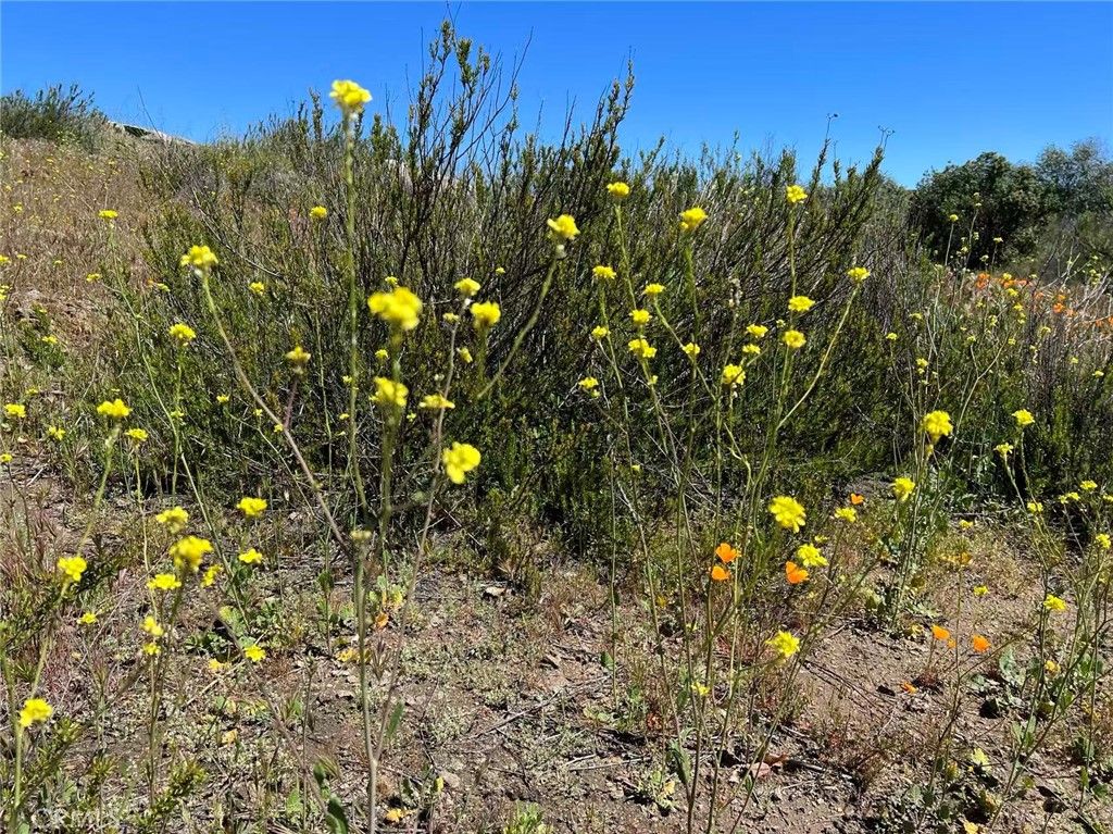 Image 3 of property listing at 0 Stanley Road, Hemet, CA 92544