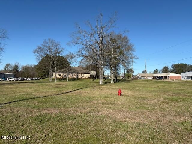 Highway 35 South, Forest, MS 39074