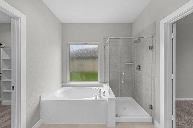 80 Shining Point Drive, Waller, TX 77484