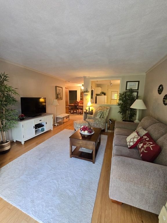 276 Albion Street 22, Wakefield, MA 01880