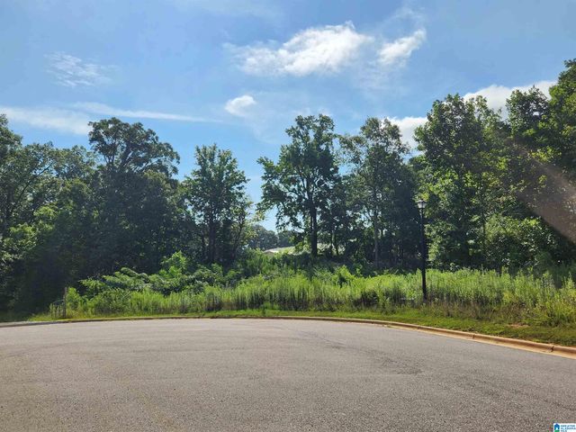 3000 DRAKE MALLARD DRIVE EAST, Alabaster, AL 35007