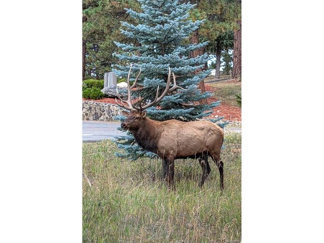 23004 Whispering Woods, Golden, CO 80401