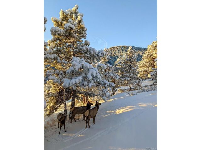 23004 Whispering Woods, Golden, CO 80401