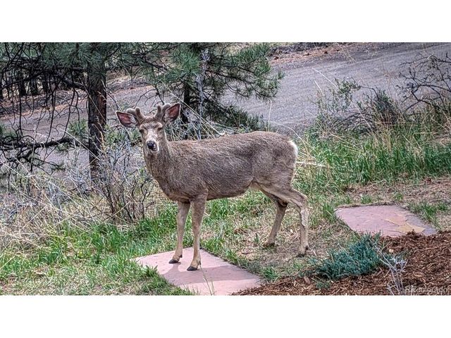 23004 Whispering Woods, Golden, CO 80401