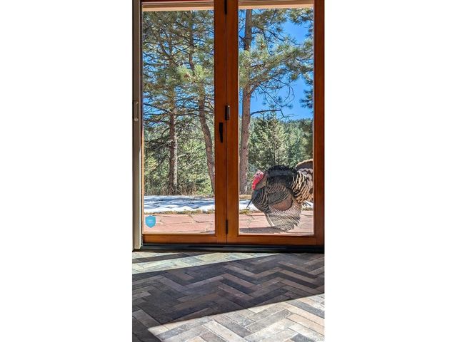 23004 Whispering Woods, Golden, CO 80401