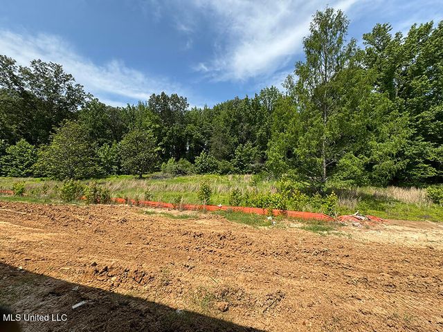 4229 W Olivia Circle, Olive Branch, MS 38654