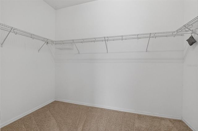 1403 RUSHGROVE CIRCLE, Dover, FL 33527