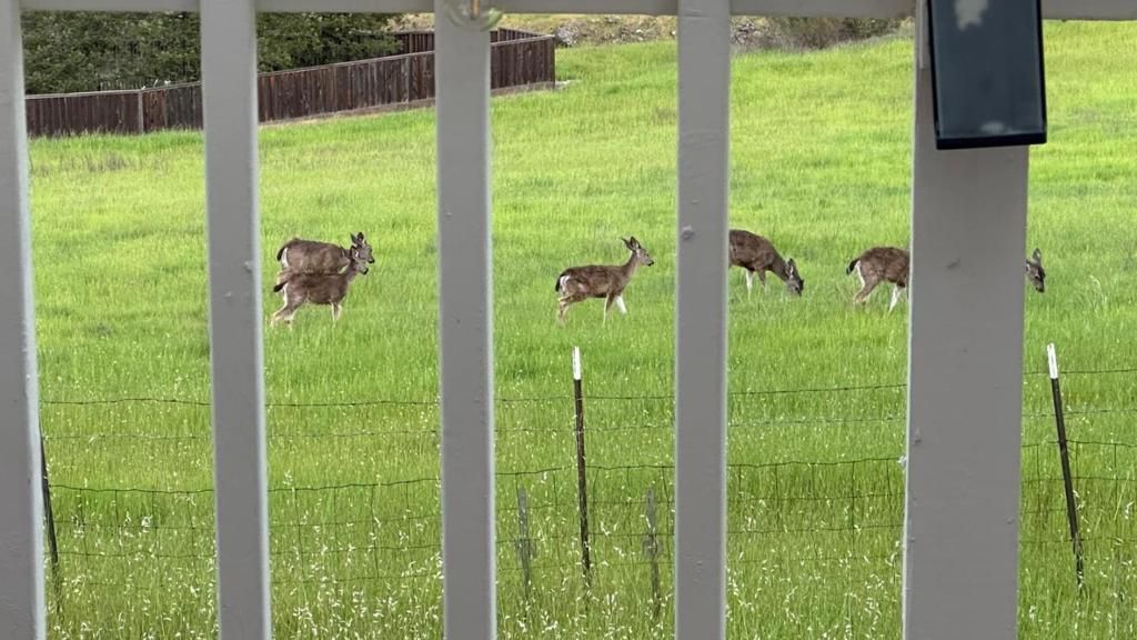 Image 4 of property listing at 1232 Copper Peak Lane, San Jose, CA 95120