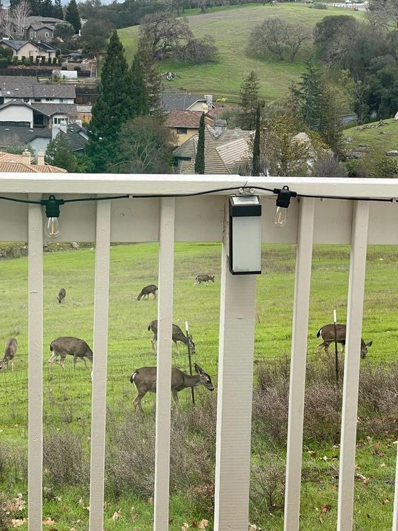 Image 51 of property listing at 1232 Copper Peak Lane, San Jose, CA 95120