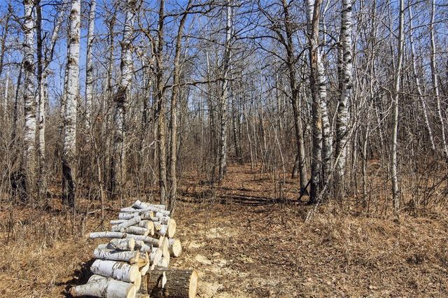 W 228 Peters Road, Hayward, WI 54843