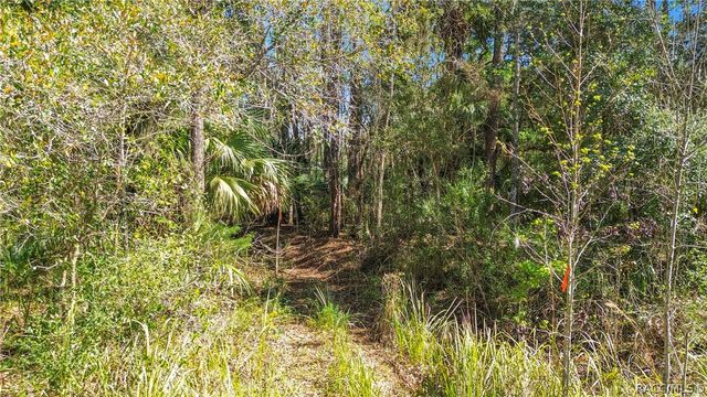 4067 N Casa Terrace, Crystal River, FL 34428