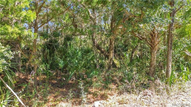 4067 N Casa Terrace, Crystal River, FL 34428