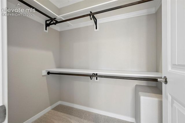 16232 Thunder Cat Way, Monument, CO 80132