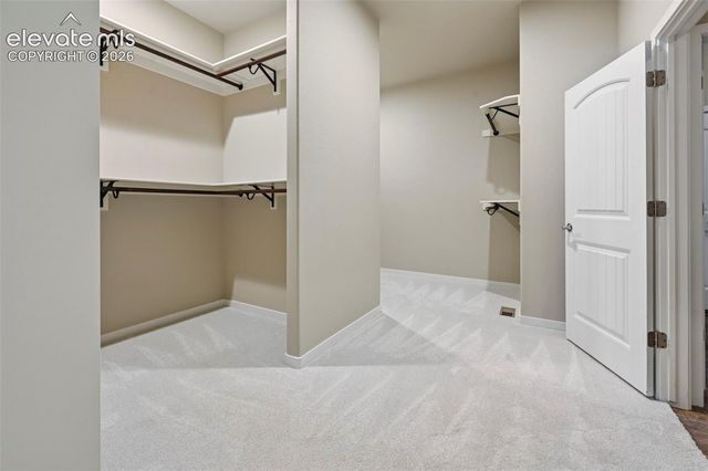 16232 Thunder Cat Way, Monument, CO 80132