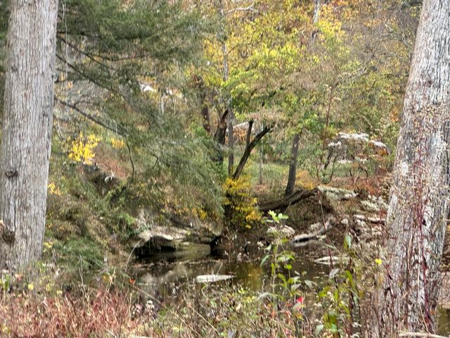 lot 5 Baldwin Road, Mckee, KY 40447