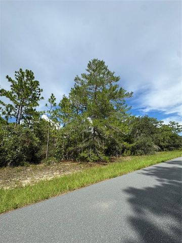 7357 N FIRWOOD CIRCLE, Citrus Springs, FL 34433