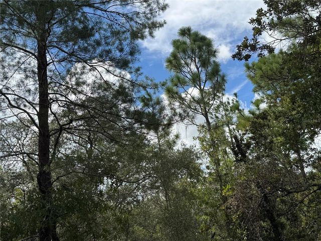 7357 N FIRWOOD CIRCLE, Citrus Springs, FL 34433