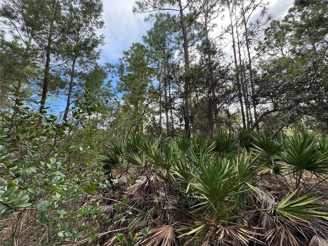 7357 N FIRWOOD CIRCLE, Citrus Springs, FL 34433