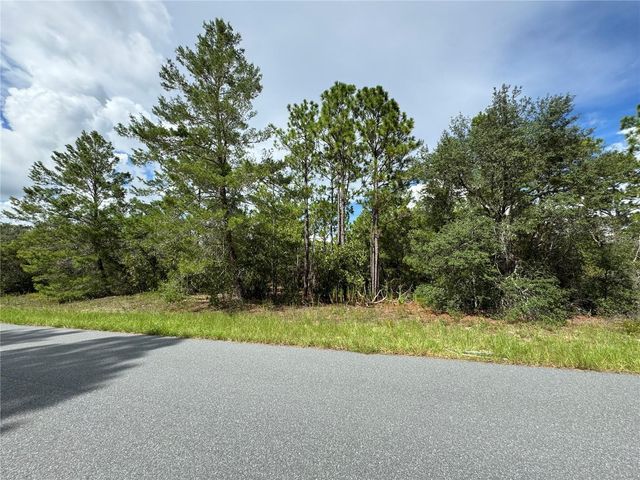 7357 N FIRWOOD CIRCLE, Citrus Springs, FL 34433