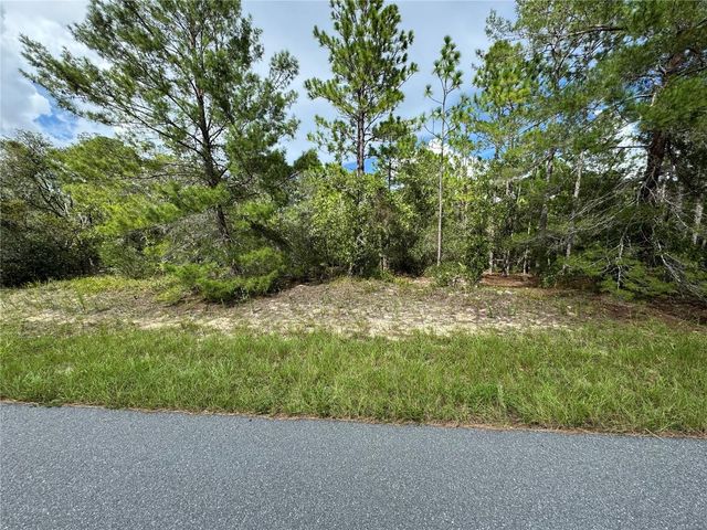 7357 N FIRWOOD CIRCLE, Citrus Springs, FL 34433