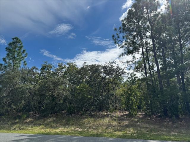 7357 N FIRWOOD CIRCLE, Citrus Springs, FL 34433