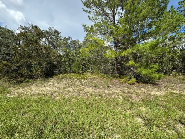 7357 N FIRWOOD CIRCLE, Citrus Springs, FL 34433