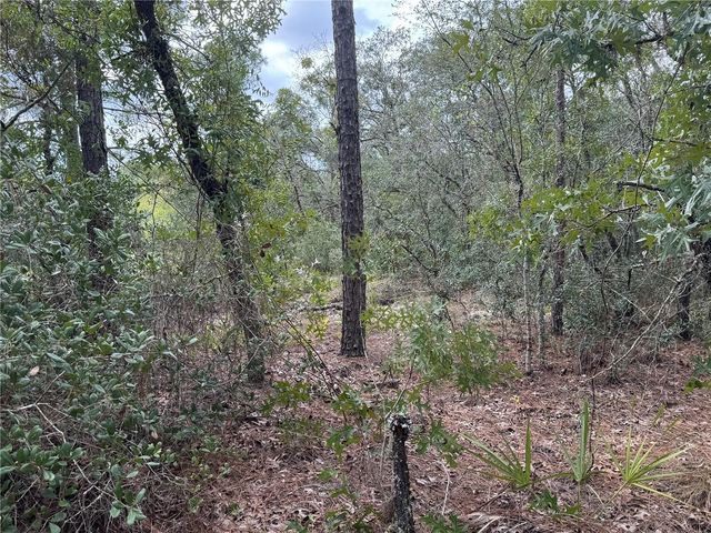 7357 N FIRWOOD CIRCLE, Citrus Springs, FL 34433