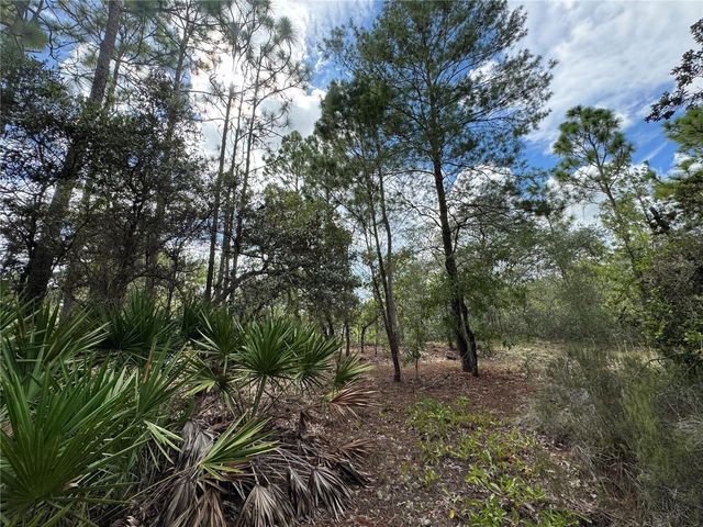 7357 N FIRWOOD CIRCLE, Citrus Springs, FL 34433