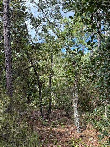 7357 N FIRWOOD CIRCLE, Citrus Springs, FL 34433