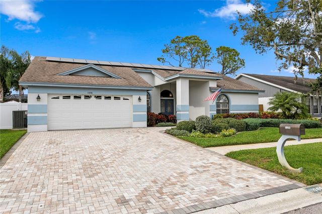 11206 POCKET BROOK, Tampa, FL 33635