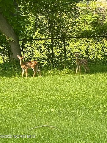 310 Richards Road, Toledo, OH 43607