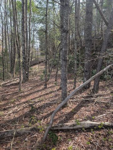 Lt 7A Lake Appalachia Acres Drive, Murphy, NC 28906