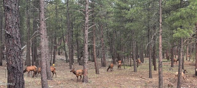 252 W DAWN Circle, Munds Park, AZ 86017