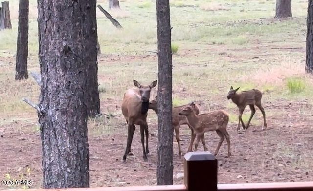 252 W DAWN Circle, Munds Park, AZ 86017