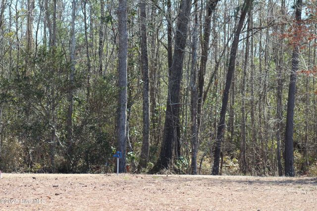 331 Newberry Landing, Roper, NC 27970