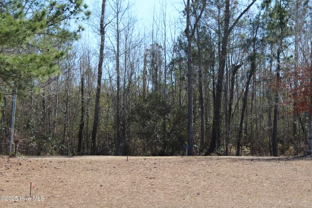 331 Newberry Landing, Roper, NC 27970