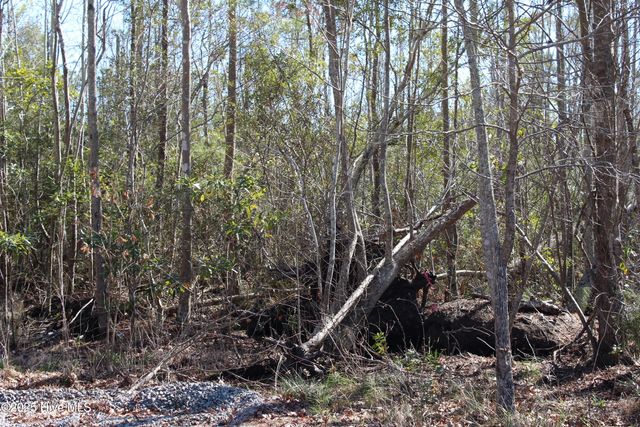 331 Newberry Landing, Roper, NC 27970