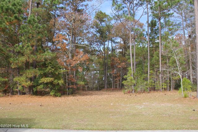 1193 Sabel Loop SE, Bolivia, NC 28422