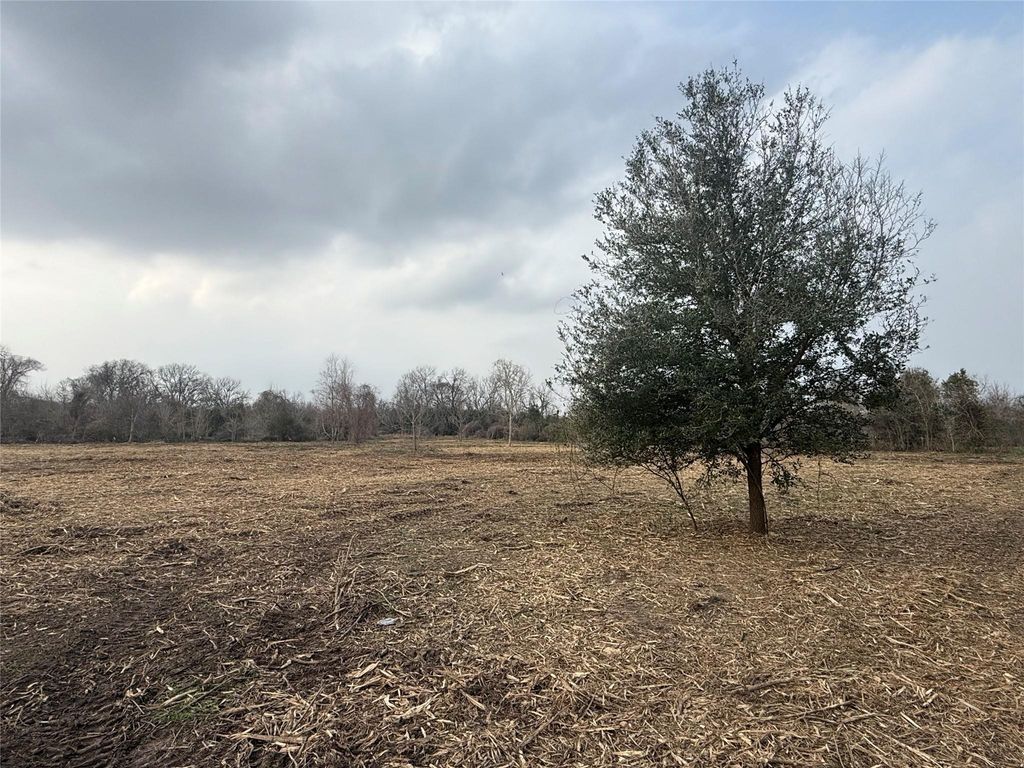 Lot 10 County Road 30, Angleton, TX 77515