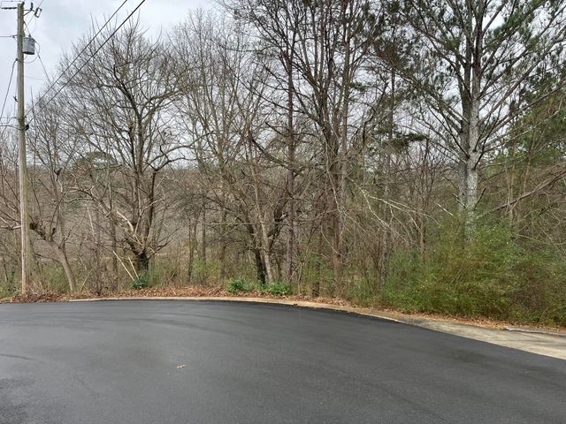 29 Cleo Circle, Ringgold, GA 30736
