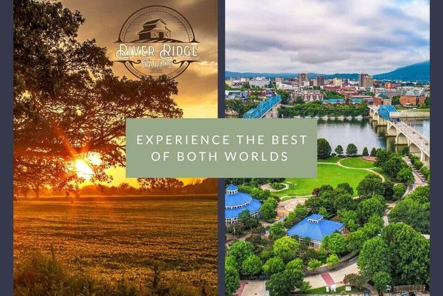 298 Pinnacle Point Lane 112, Dunlap, TN 37327