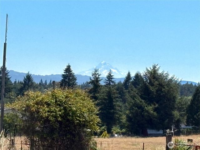 26417 NE 31st Court, Ridgefield, WA 98642
